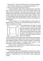 Referāts 'Uzmanība', 7.