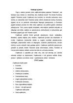 Referāts 'Atpūtas kompleksa "Ezerkrasti" mārketinga plāns', 2.