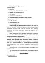 Referāts 'Atpūtas kompleksa "Ezerkrasti" mārketinga plāns', 3.