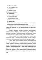 Referāts 'Atpūtas kompleksa "Ezerkrasti" mārketinga plāns', 5.