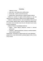 Referāts 'Atpūtas kompleksa "Ezerkrasti" mārketinga plāns', 7.