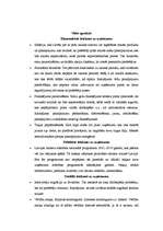 Referāts 'Atpūtas kompleksa "Ezerkrasti" mārketinga plāns', 8.