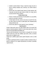 Referāts 'Atpūtas kompleksa "Ezerkrasti" mārketinga plāns', 12.