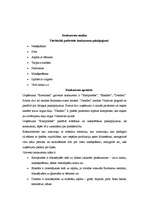 Referāts 'Atpūtas kompleksa "Ezerkrasti" mārketinga plāns', 13.