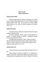 Referāts 'Atpūtas kompleksa "Ezerkrasti" mārketinga plāns', 17.