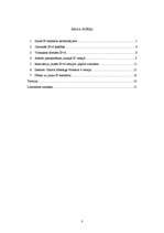 Referāts 'Jaunā Interneta Protokola versija 6', 3.