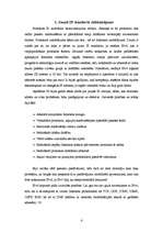 Referāts 'Jaunā Interneta Protokola versija 6', 4.