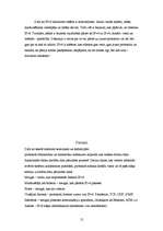 Referāts 'Jaunā Interneta Protokola versija 6', 12.