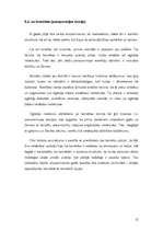 Referāts 'Cilvēka izcelšanās teorijas un hipotēzes', 15.