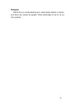 Referāts 'Cilvēka izcelšanās teorijas un hipotēzes', 16.