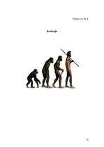 Referāts 'Cilvēka izcelšanās teorijas un hipotēzes', 20.
