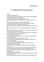 Referāts 'Cilvēka izcelšanās teorijas un hipotēzes', 22.