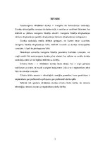 Referāts 'Iekšdedzes dzinēju cilindru bloka remonta tehnoloģija', 3.