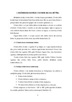 Referāts 'Iekšdedzes dzinēju cilindru bloka remonta tehnoloģija', 4.