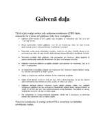 Referāts 'Esi drošs uz ceļa!', 3.