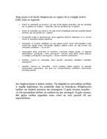 Referāts 'Esi drošs uz ceļa!', 4.