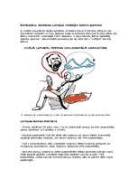 Referāts 'Esi drošs uz ceļa!', 11.