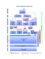 Referāts 'Izglītība kā sociālais institūts', 12.
