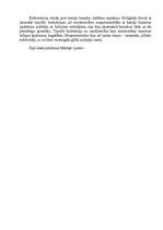 Referāts 'Reformācija', 2.