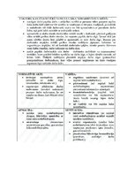 Referāts 'Tautsaimniecības politika un nodarbinātība', 8.