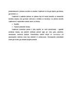 Konspekts 'Tirgus ekonomika', 3.