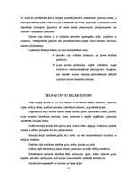 Biznesa plāns 'Skaistumkopšanas salons', 15.