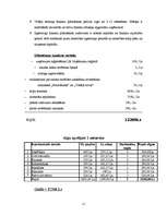 Biznesa plāns 'Skaistumkopšanas salons', 17.