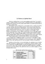 Referāts 'Tirgus izpēte', 7.