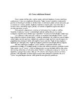 Referāts 'Tirgus izpēte', 17.