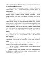 Referāts 'Mans filosofiskais pasaules uzskats un termina "tiesības" izcelšanās un attīstīb', 3.