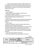 Prakses atskaite 'Prakses atskaite A/S "Hansabanka"', 17.