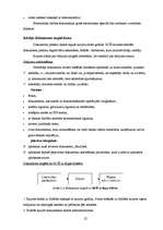 Prakses atskaite 'Prakses atskaite A/S "Hansabanka"', 22.