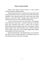 Referāts 'Pirmās Rīgas skolas muzejs', 5.