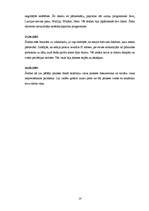 Prakses atskaite 'Kvalifikācijas prakses atskaite', 14.