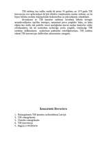 Referāts 'Par starptautiskajiem autopārvadājumiem TIR carnet režīmā', 10.