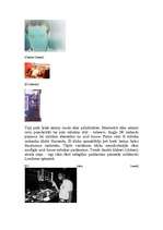 Referāts 'House mūzika', 9.