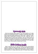 Referāts 'Islandes Republika', 5.