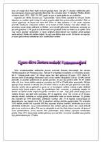 Referāts 'Islandes Republika', 6.