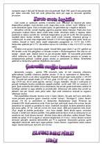 Referāts 'Islandes Republika', 8.