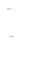 Referāts 'Mīti mūsdienās un jauniešu aktuālās vērtības', 19.