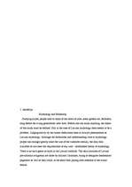 Referāts 'Mīti mūsdienās un jauniešu aktuālās vērtības', 21.