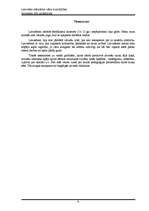 Referāts 'Latviešu stāvoklis vācu kundzības pirmajos trīs gadsimtos (13.-15.gs.)', 7.