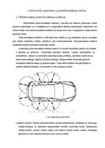 Referāts 'Automobiļu apsardze', 2.