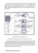 Referāts 'Automobiļu apsardze', 6.