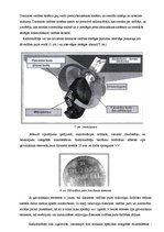 Referāts 'Automobiļu apsardze', 7.