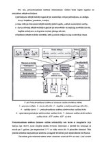 Referāts 'Automobiļu apsardze', 9.