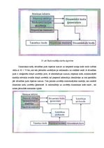 Referāts 'Automobiļu apsardze', 11.