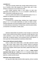 Referāts 'Automobiļu apsardze', 25.