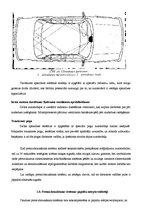 Referāts 'Automobiļu apsardze', 27.