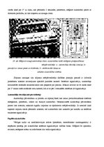 Referāts 'Automobiļu apsardze', 29.